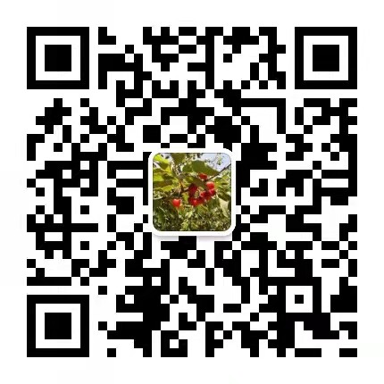 �����������˹�˾